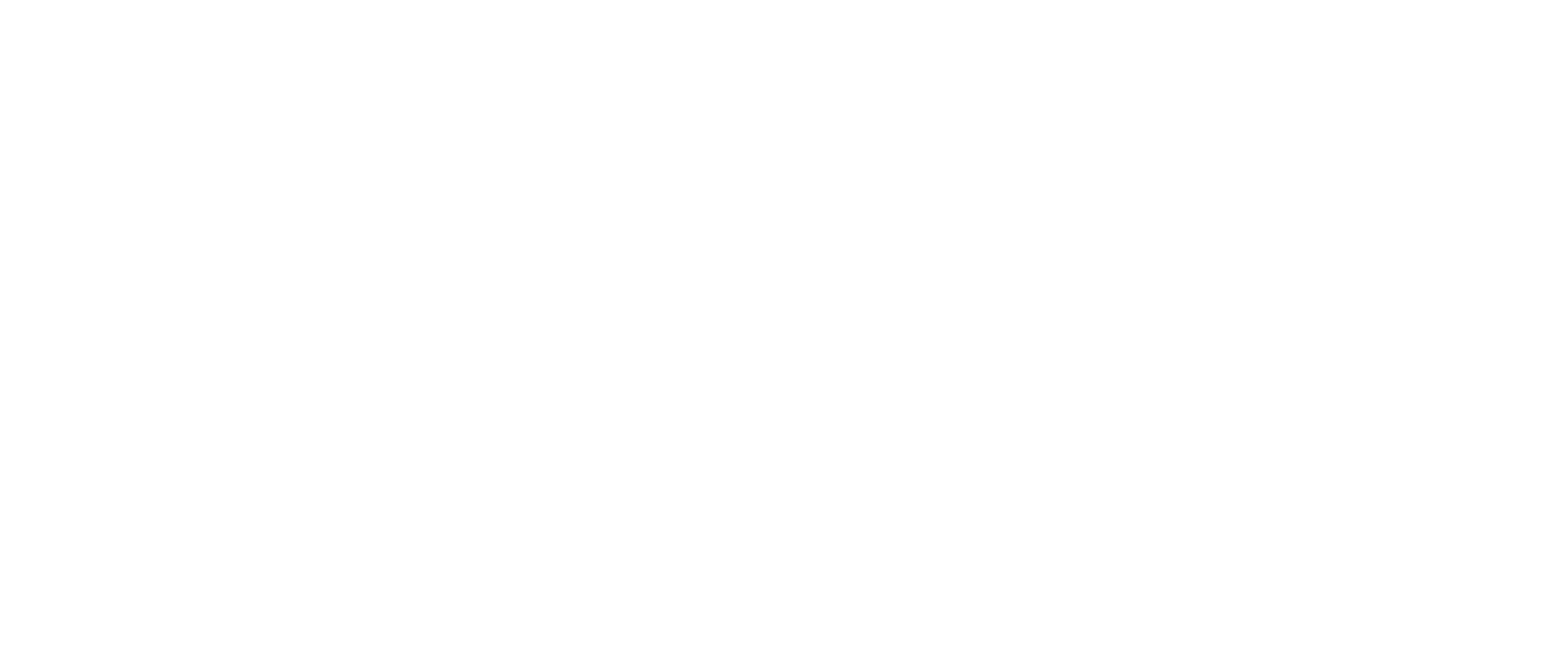 CONSULTEX IT